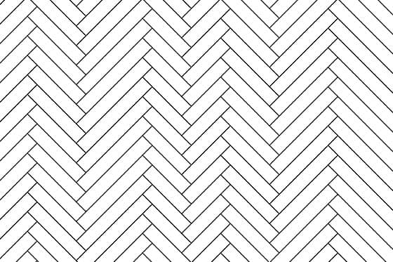 Fiskben olika längder